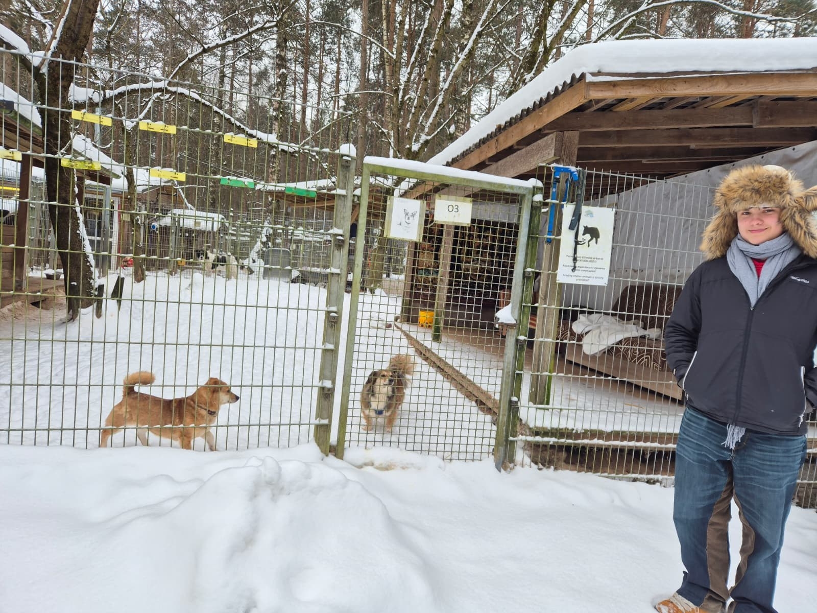 Audzēkņu viesošanās dzīvnieku patversmē Ulubelē - Foto 3