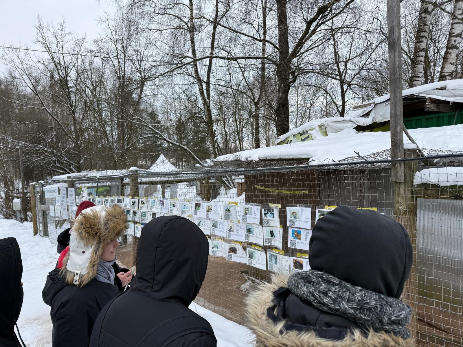 Audzēkņu viesošanās dzīvnieku patversmē Ulubelē - Foto 1