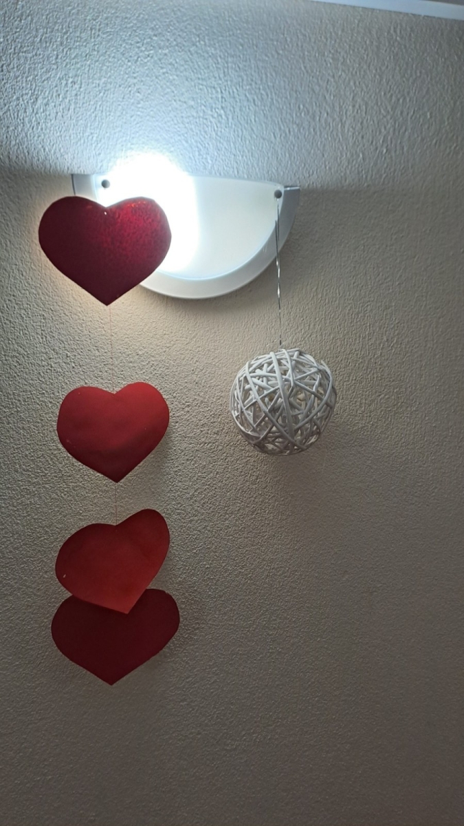 DV sirsniņdiena - Foto 6