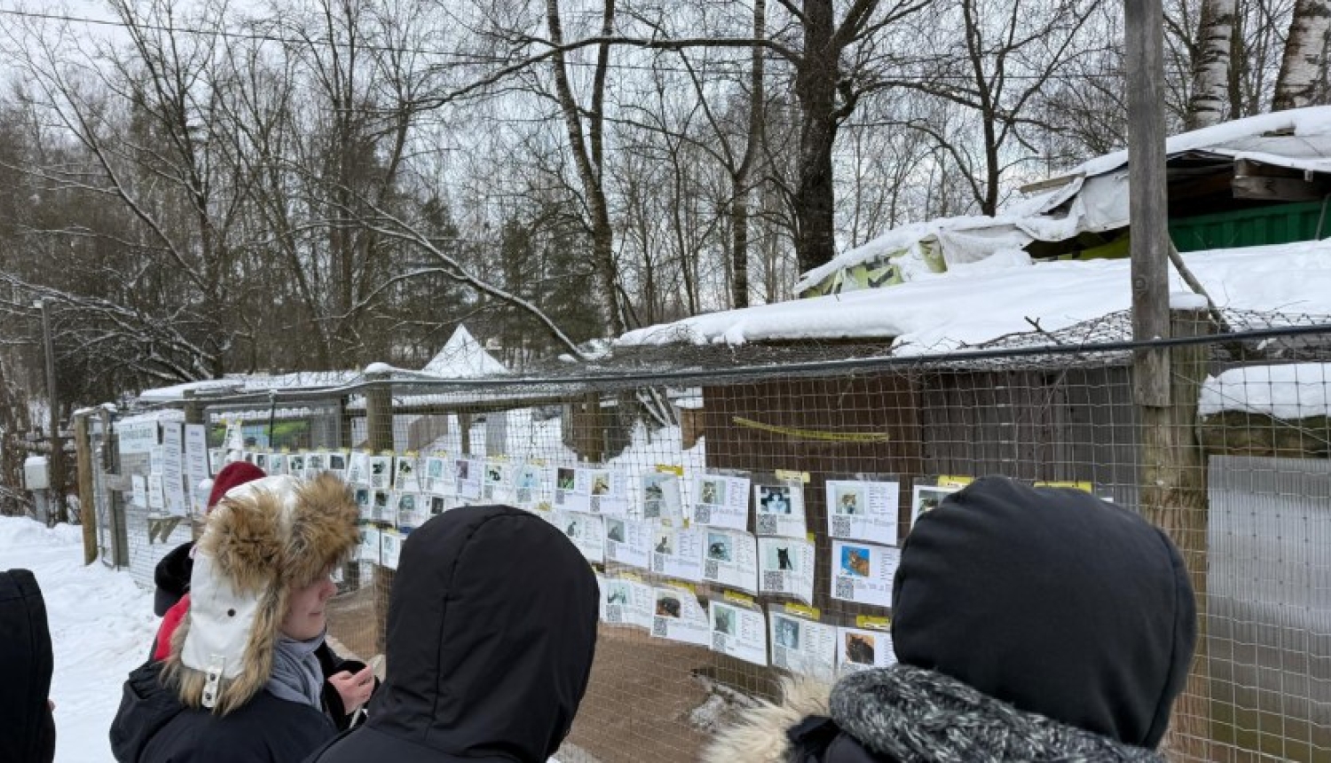 RTK audzēkņu pašpārvalde un Ekoskolas pārstāvji viesojas dzīvnieku patversmē “Ulubele”