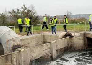 Rīgas Tehniskajā koledžā norisinājās Ekoskolu Rīcības dienas. - Foto 1